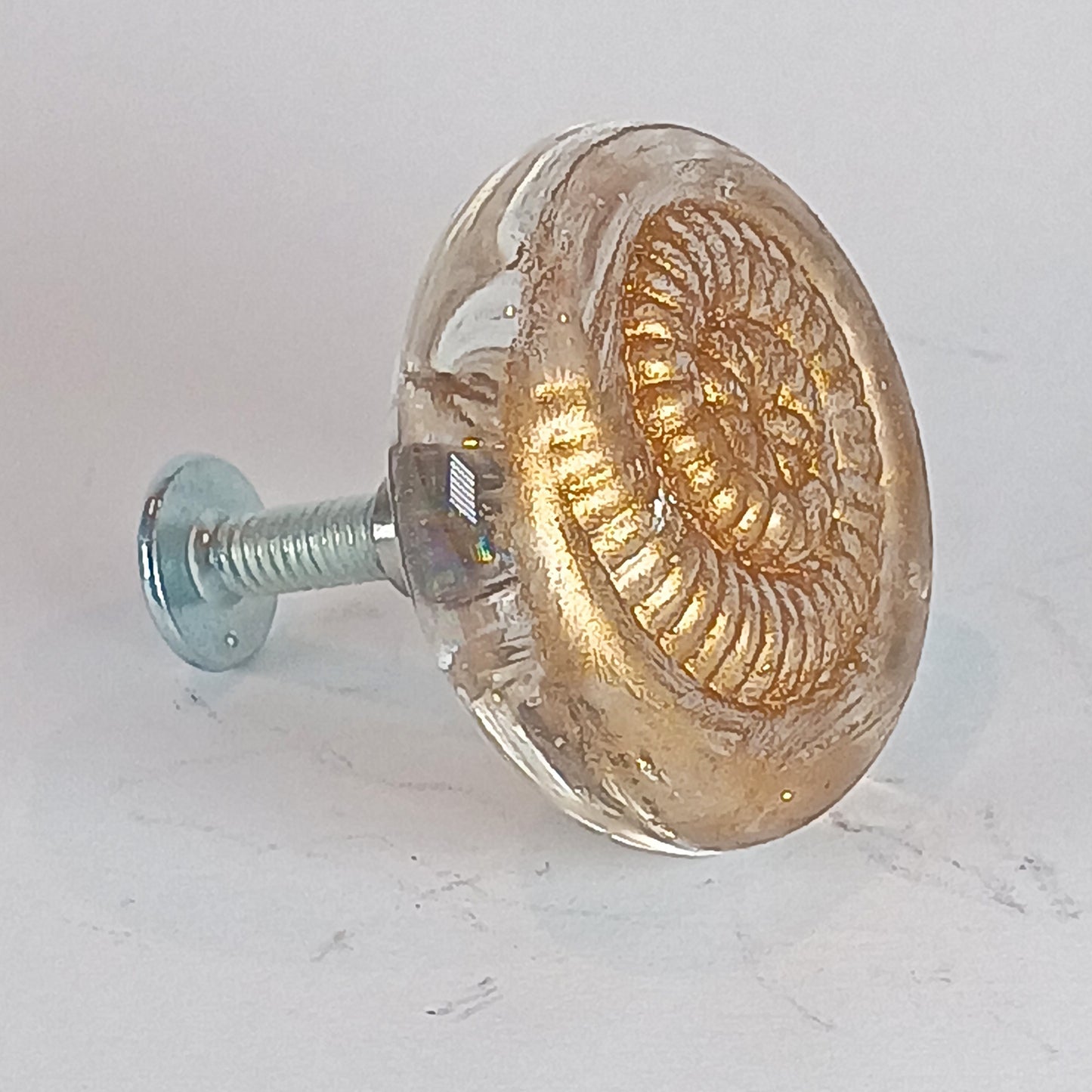 Clear glass ammonite knob with gold detail