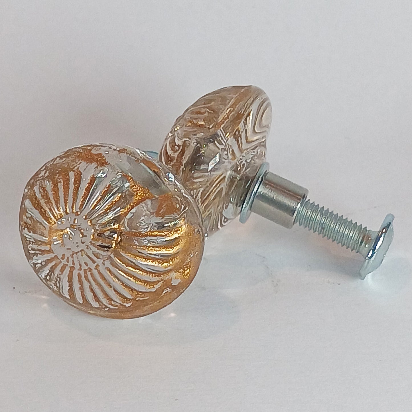 Clear shell door and drawer knobs - made to order
