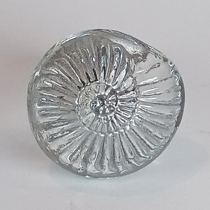 Clear shell door and drawer knobs - made to order