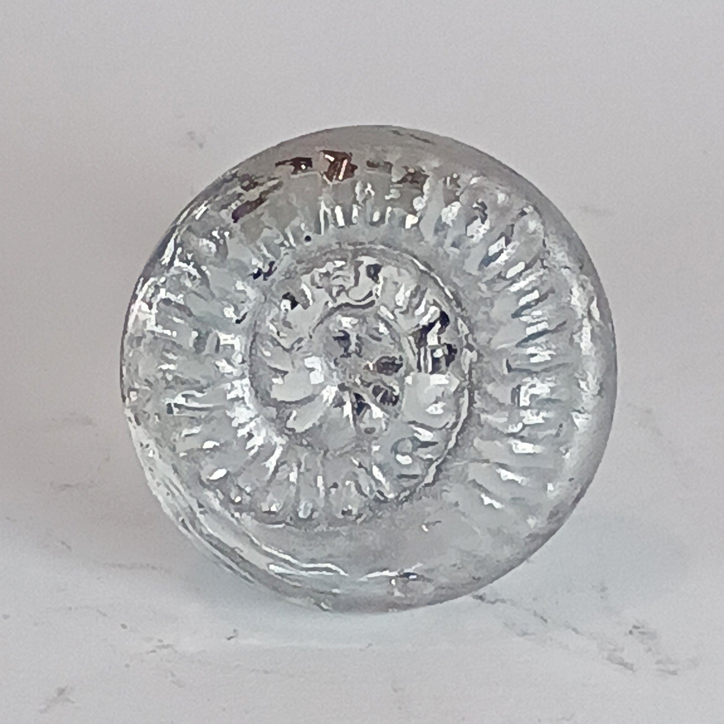 Clear glass ammonite knob with silver detail