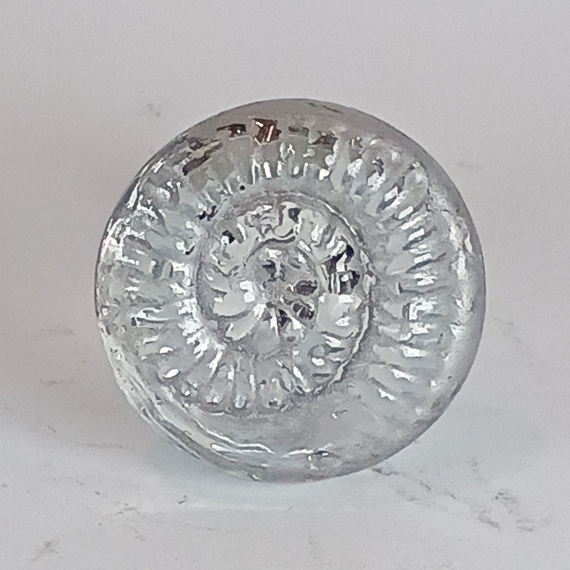 Clear glass ammonite knob with silver detail