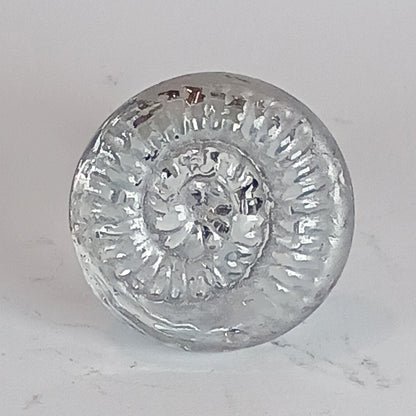 Clear glass ammonite knob with silver detail