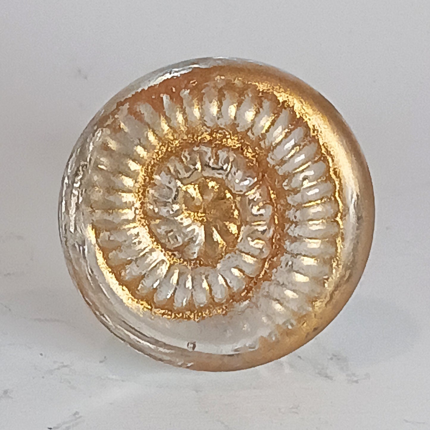 Clear glass ammonite knob with gold detail