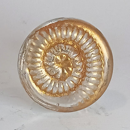 Clear glass ammonite knob with gold detail