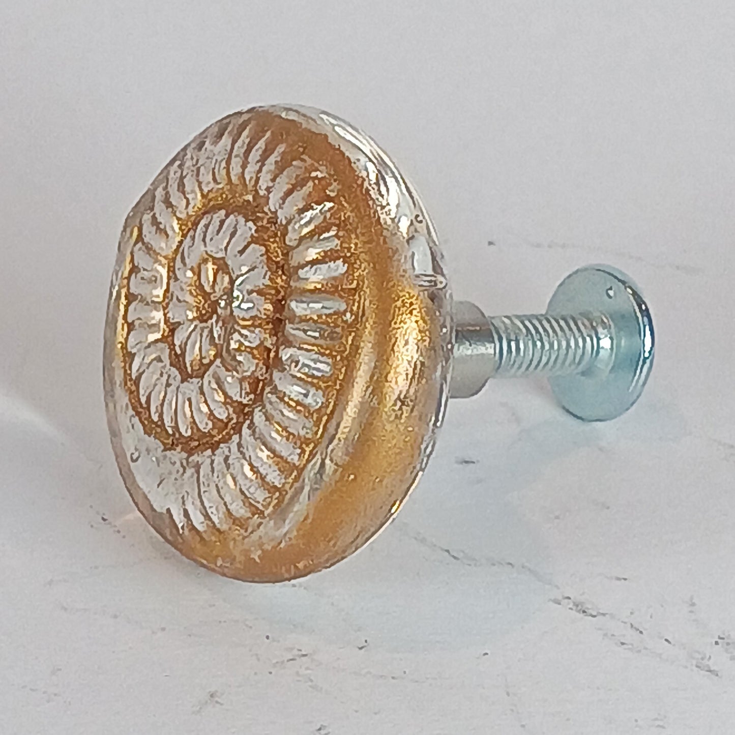 Clear glass ammonite knob with gold detail