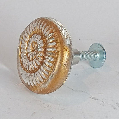 Clear glass ammonite knob with gold detail