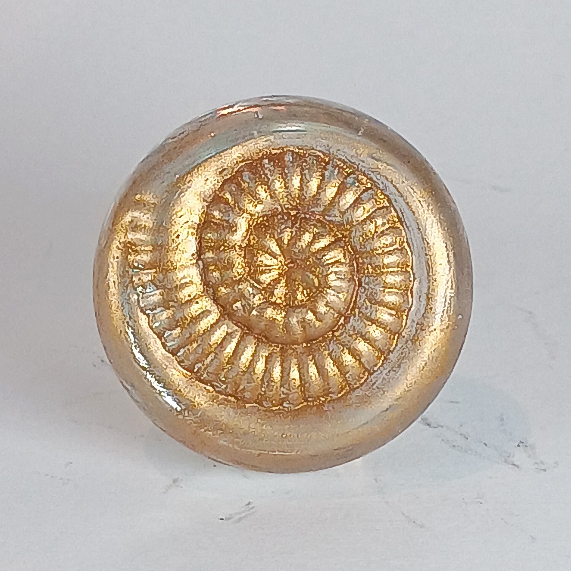 Clear glass ammonite knob with gold detail