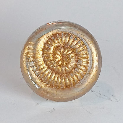 Clear glass ammonite knob with gold detail