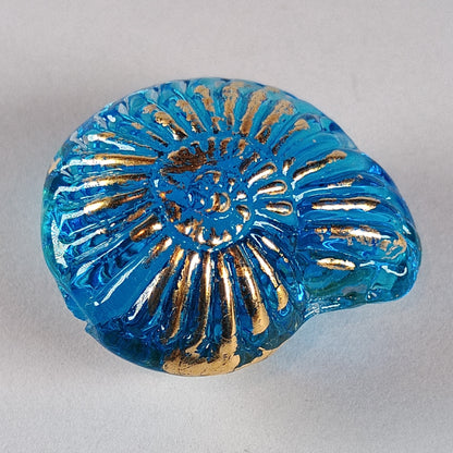 Aqua ammonite focal bead Jolene Beads